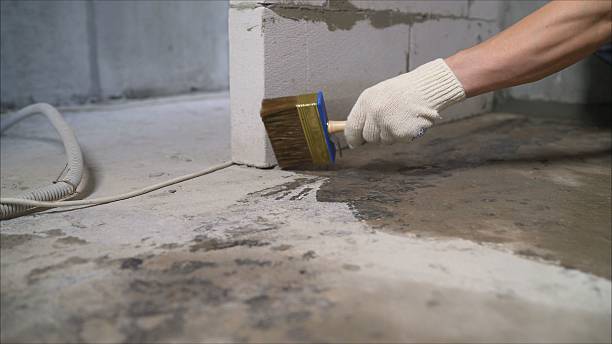 24/7 Emergency Wet Basement Repair experts in Haydenville, OH